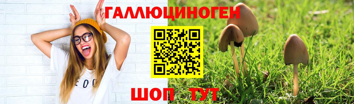 Псилоцибиновые грибы MAGIC MUSHROOMS  Вход с VPN  Люберцы 